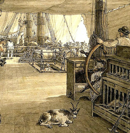 Livestock on a Sailing Ship